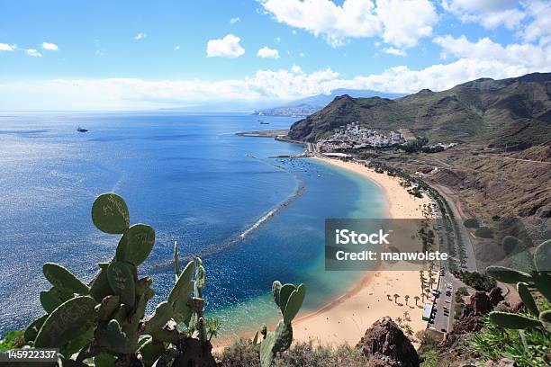 Splendida Vista Della Costa Di Tenerife Isole Canarie Cactus In Primo Piano - Fotografie stock e altre immagini di Ambientazione esterna