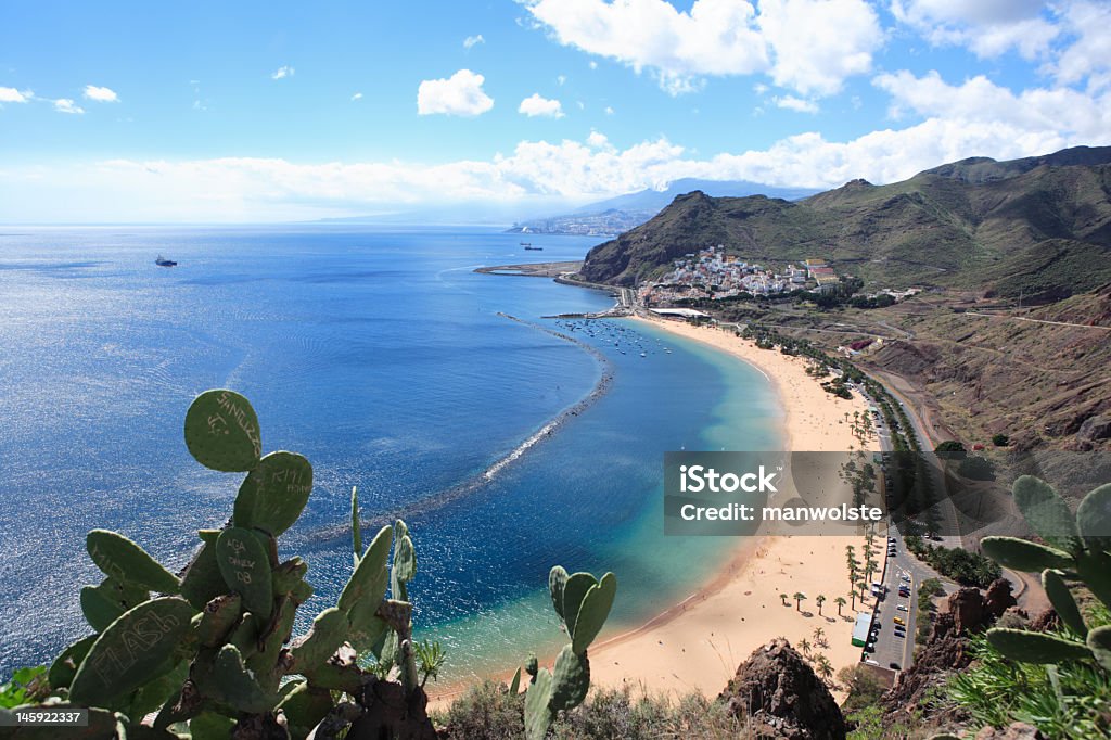 景色のよい海岸沿いのテネリフェ島、カナリア諸島、サボテンの前景 - Horizonのロイヤリティフリーストックフォト