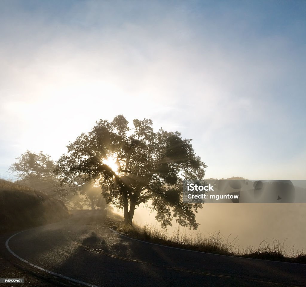 The Windy Road Ahead Sunbeams in the Mist on a Winding Country Road Atmospheric Mood Stock Photo