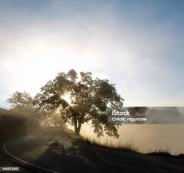 The Windy Road Ahead Stock Photo - Download Image Now - Atmospheric Mood, Awe, Beauty