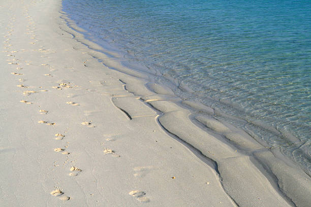 Beach footprints Indian ocean beach with footprints in the sand. ocean beach papua new guinea stock pictures, royalty-free photos & images