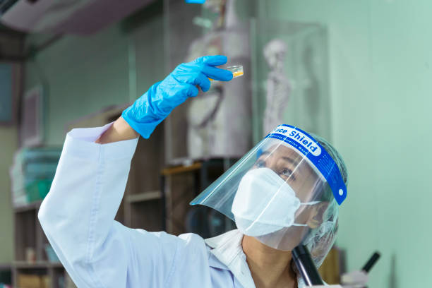 close up scientist woman hands look at glass petri dish use microscope research in science laboratory. crop women hands biochemistry scientist using fungi glass petri dish in laboratory chemistry lab - petri dish agar jelly laboratory glassware bacterium imagens e fotografias de stock