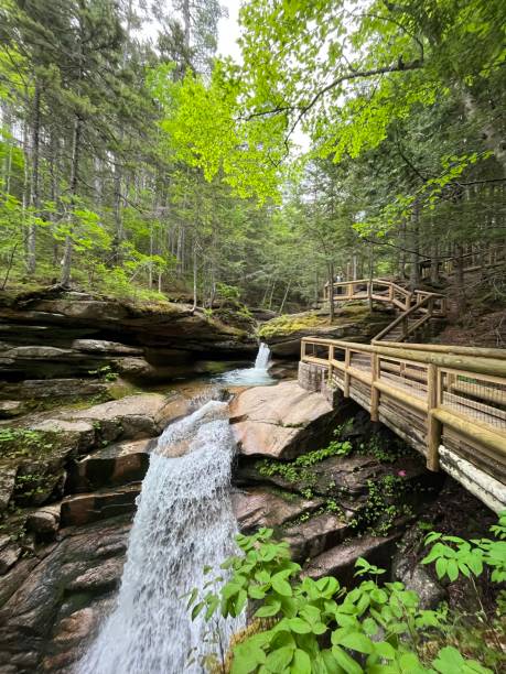 istock Sabbaday Falls New Hampshire 1459229994