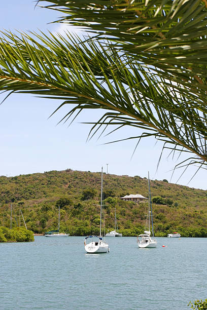istock Protected boat harbor in the Caribbean 145923140