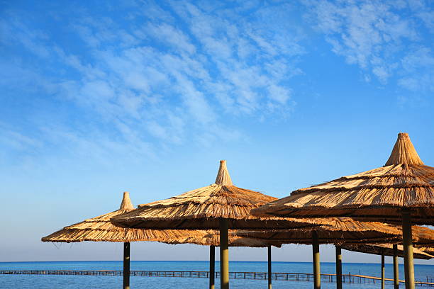 Sonnenschirme am Strand – Foto