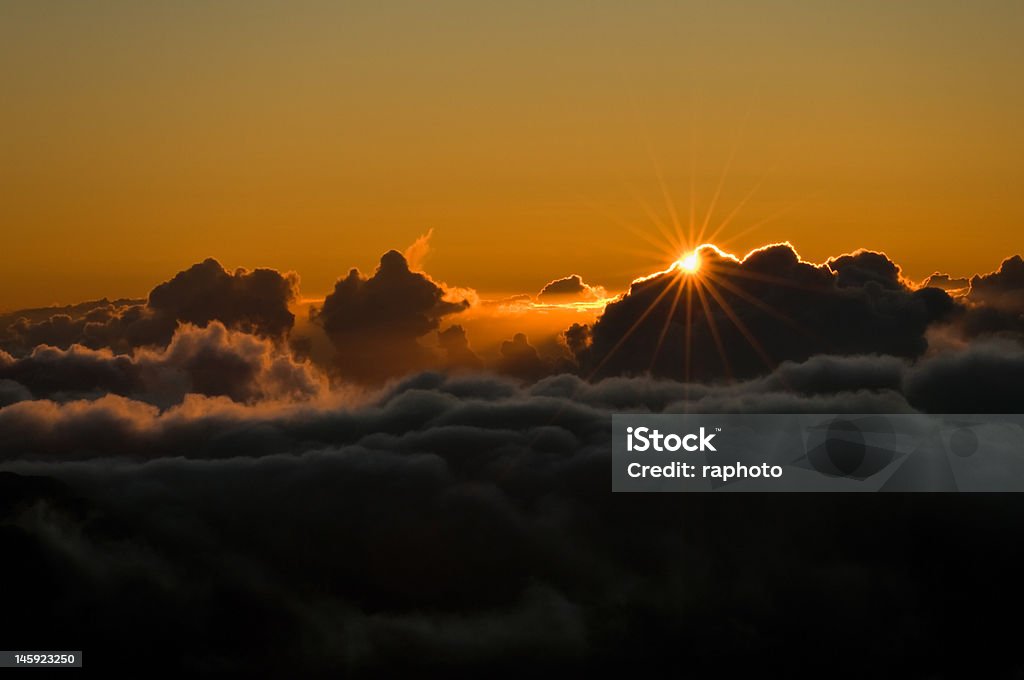 Lever du soleil au-dessus des nuages - Photo de Arbre sans feuillage libre de droits