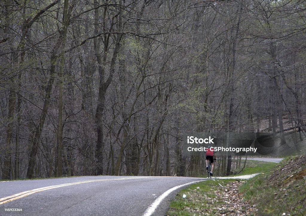 Bicyclist de course sur route - Photo de Endroit isolé libre de droits