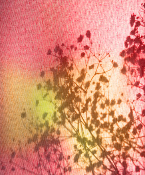 istock Light and shadow sunset on old retro beige fabric texture.  vintage textile background. Abstract backdrop with floral pattern and crossed lines shadows. 1459234256