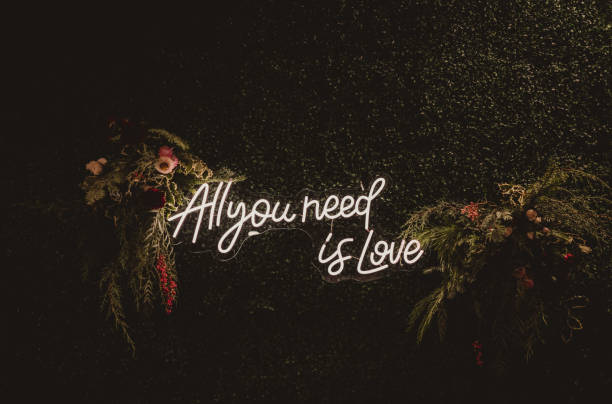 All you need is love light up sign