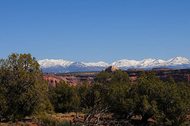View from the desert a landscape of snow capped mountains, red rock and green trees kayenta photos stock pictures, royalty-free photos & images