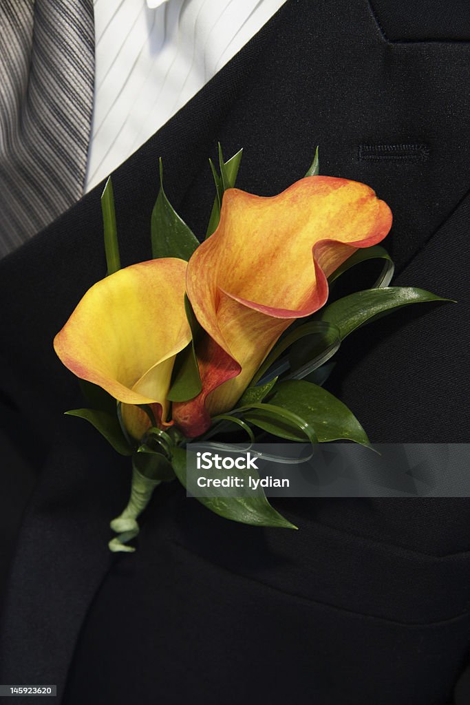 Sposo s corsage - Foto stock royalty-free di Abbigliamento elegante