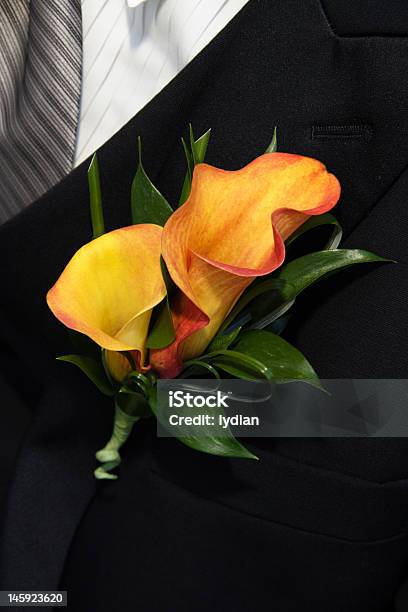 Sposo S Corsage - Fotografie stock e altre immagini di Abbigliamento elegante - Abbigliamento elegante, Arancione, Calla - Aro