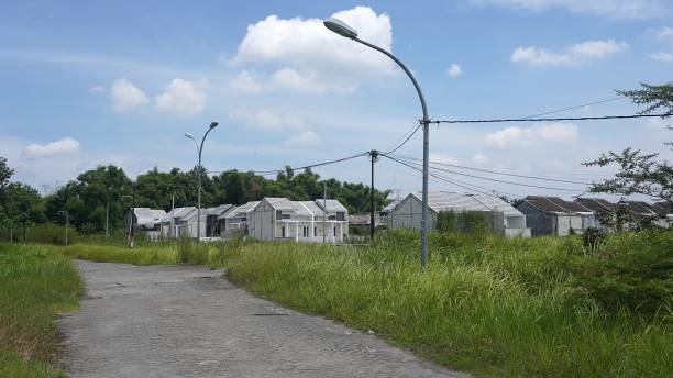 paving road for village housing with street lights and wild weeds with a background of houses and bright blue sky and white clouds - tranquil scene sky street road imagens e fotografias de stock