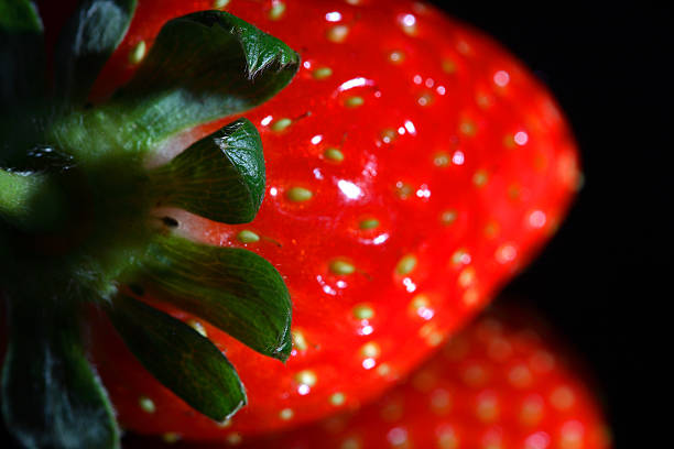 red strawberries stock photo