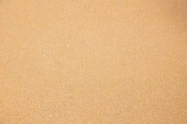 Close up beach sand texture. Sand nature pattern. Beach sand texture in summer sun. Fine beach sand under the summer sun