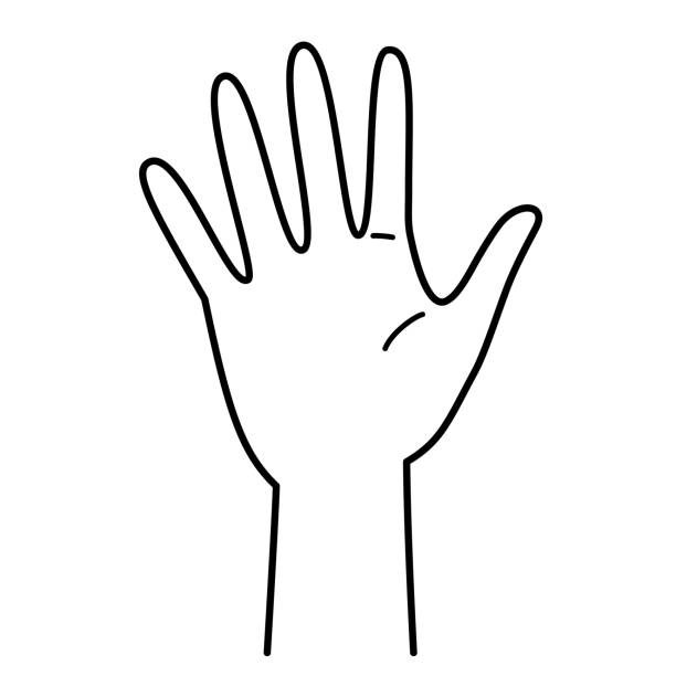 Пять пальцев（5つの指） Hand Gesture Number 5 Palm Hand Five Fingers Monochrome