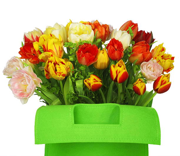 green Tasche mit Tulpen – Foto