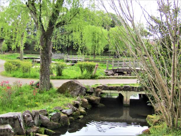 istock Japan. April. Small river in the park. 1459248996