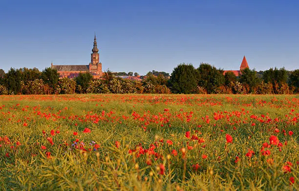 Beautiful landscape with skyline of a small town and a field of poppies