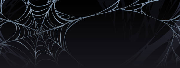 Spooky Halloween poster with spider web Spooky Halloween poster with spider web hanging in corner. Scary banner with old dirty cobweb, spider net and copy space on black background, vector cartoon illustration spider web png stock illustrations