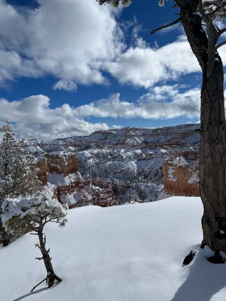 istock Bryce Canyon National Park 1459252763