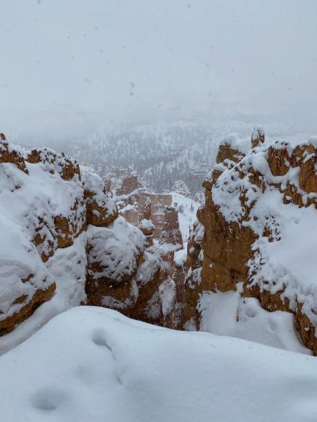 istock Bryce Canyon National Park 1459253626