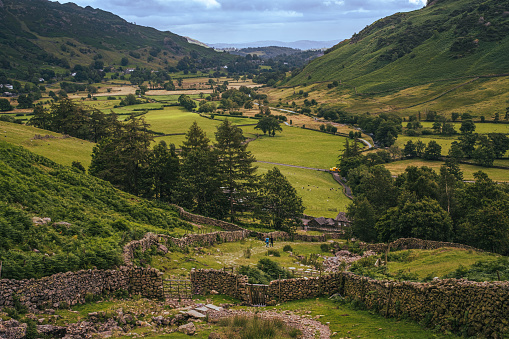 Typical view of valley surrounded with fells mountains in Lake District, England, in summer; behind stone fences and gates sheep grazing in the valley
