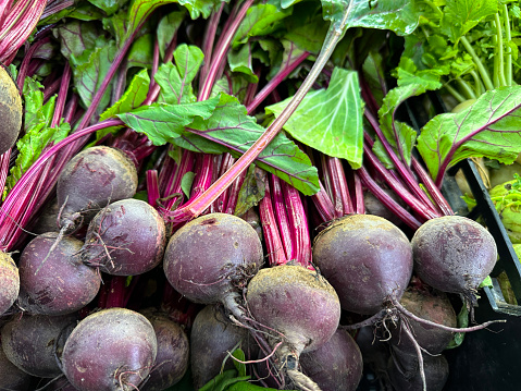 Stock photo showing a close-up, elevated view of a plastic crate containing fresh beetroot (Beta vulgaris subsp. vulgaris) being sold from a produce display at the fruit and vegetable grocery section of a supermarket.