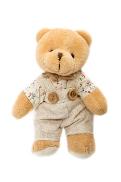 istock Cute teddy bear in clothes on a white background 1459255364
