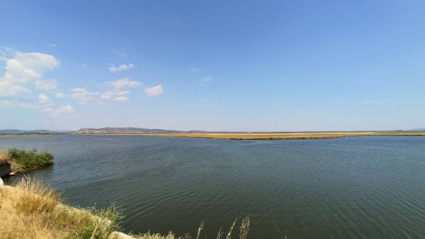 istock Delta Evros National Park, Evros Thraki Greece 1459257202
