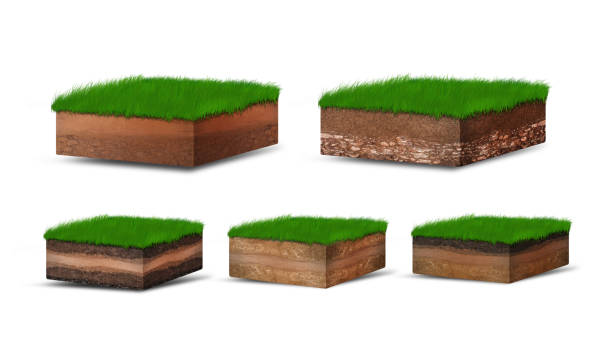 istock Isometric Soil Layers diagram, Cross section of green grass and underground soil layers beneath, stratum of organic, minerals, sand, clay, Isometric soil layers isolated on white 1459257828