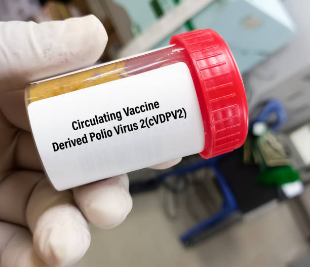 istock Stool sample for Circulating vaccine-derived poliovirus type 2 or cVDPV2 test, Poliovirus test. 1459258951
