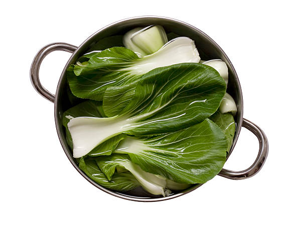 Chinese Vegetable Bok Choy stock photo