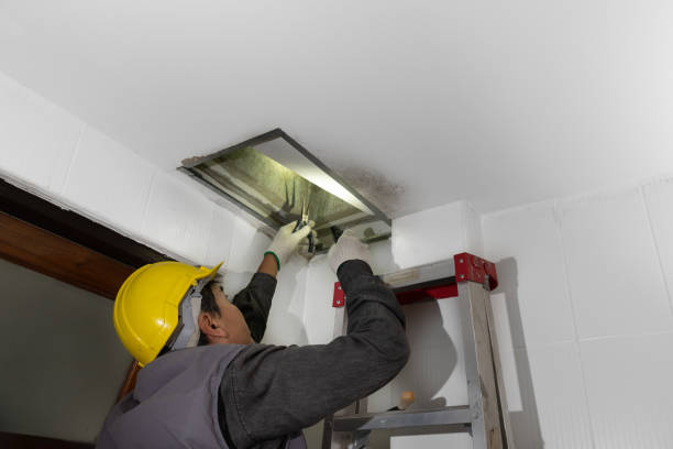 istock Worker fix leaking pipe in ceiling ,close-up of a stain on the ceiling. 1459263335