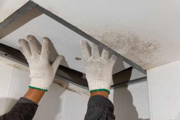 istock Worker fix leaking pipe in ceiling ,close-up of a stain on the ceiling. 1459263337