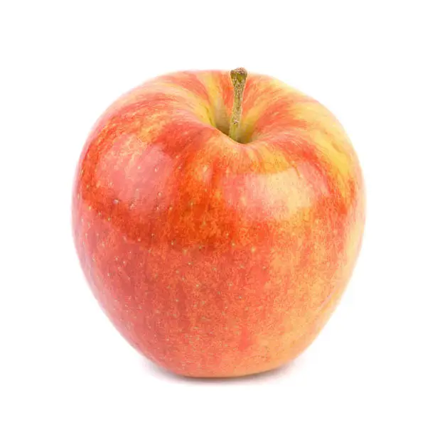 Semi-dwarf Jonagold apple (malus x domestica) set against a white background with shadow.  Shadowless clipping path included.