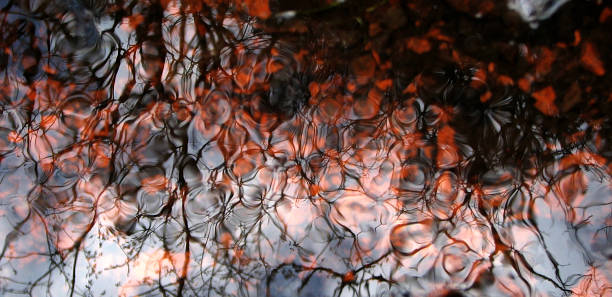 Cтоковое фото Воде с отражением