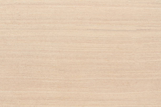 istock Plywood texture background, wooden surface in natural pattern for design art work. 1459266775