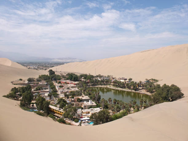 istock oasis in the desert 1459266962