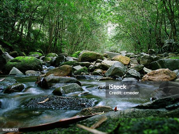 Verde Del Bosque Y Al Río Foto de stock y más banco de imágenes de Actividades recreativas - Actividades recreativas, Agua, Aire libre