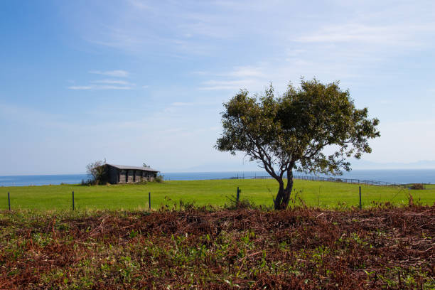 istock Hills and trees overlooking the sea 1459268533