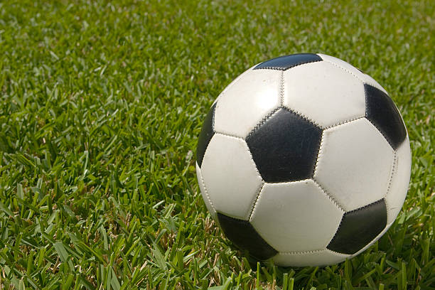 Black and White Soccer Ball on Green Grass Field stock photo