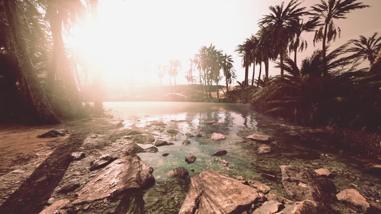 Colorful scene with a palm tree over a small pond in a desert oasis