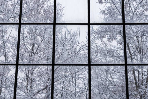 istock Bare, leafless trees covered with the snow against cloudy, white sky seen through the steamy mullion window. 1459272642