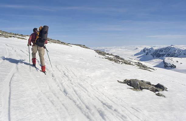 istock Skier near the summit 145927361