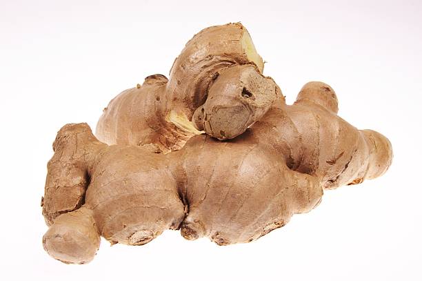 the root of a ginger stock photo