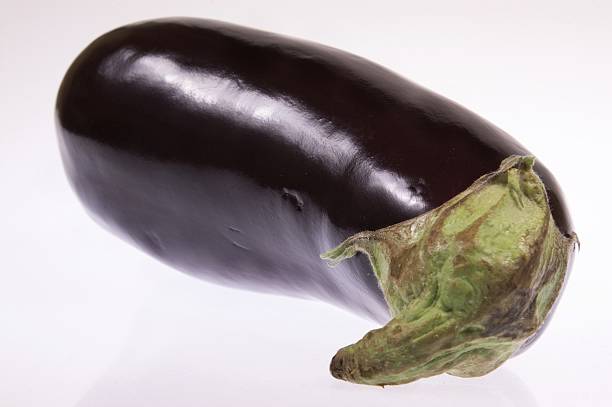 The black eggplant stock photo