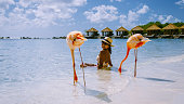 women at the beach with pink flamingos , flamingo at the beach in Aruba Island Caribbean