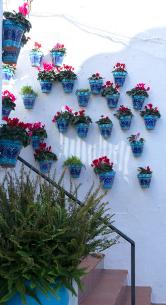 wall with pots and colorful flowers in the village of Mijas, Andalucia, Spain wall with pots and colorful flowers in the village of Mijas, Andalucia, Spain mijas pueblo stock pictures, royalty-free photos & images