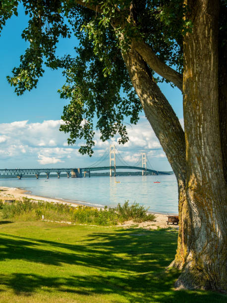 istock Mackinac Bridge Framed by trees in Mackinac City Park Beach 1459280402